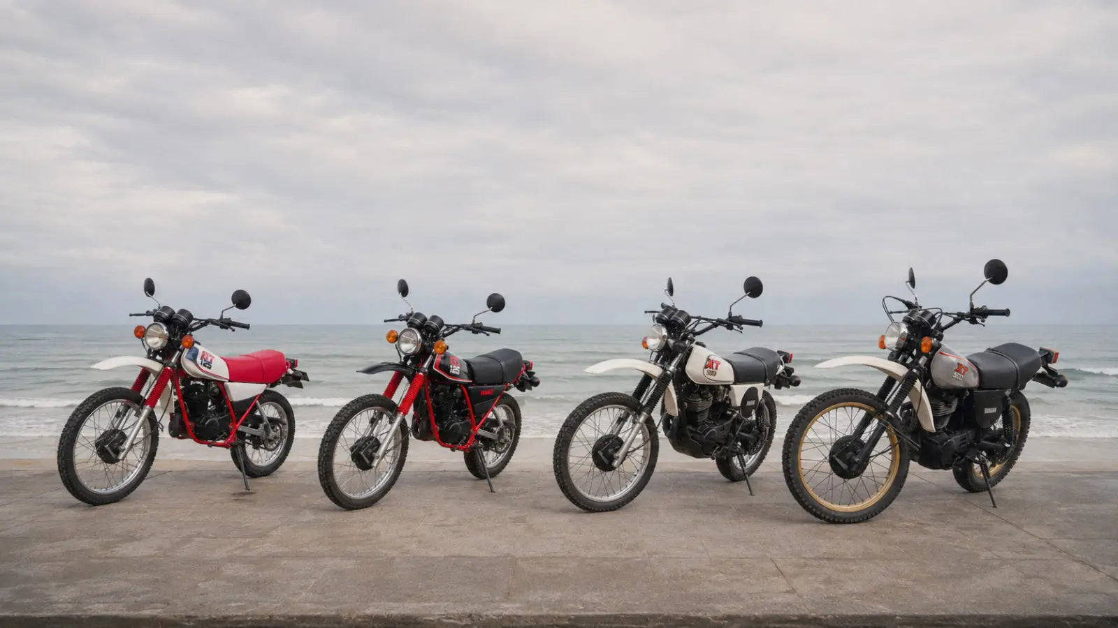 Panorama Brapp Society